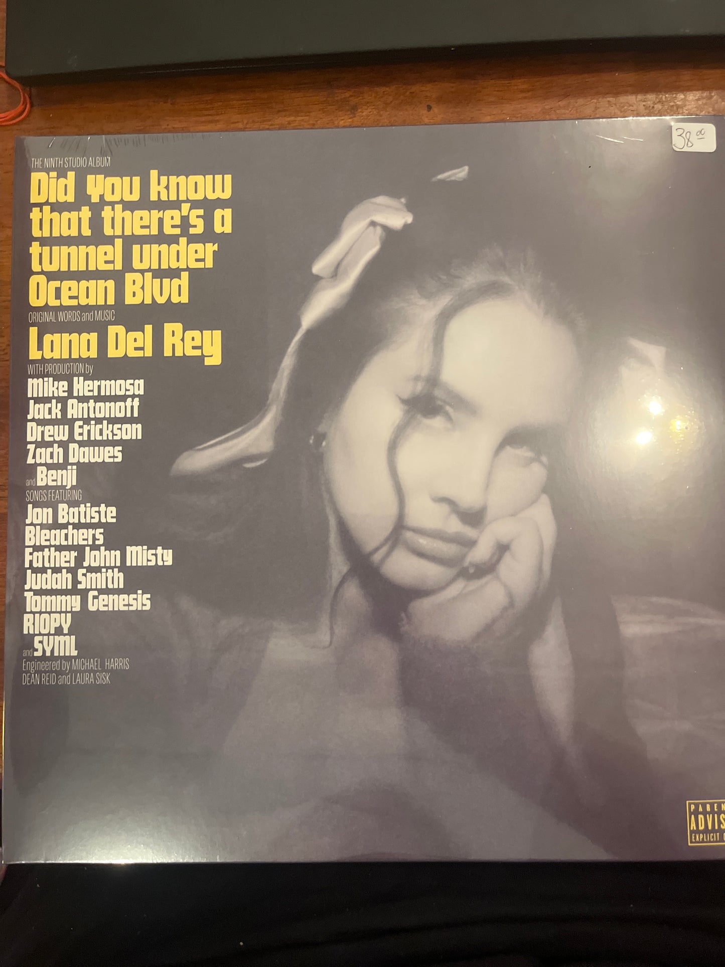 Did You Know Theres a Tunnel Under Ocean Blvd by Lana Del Rey