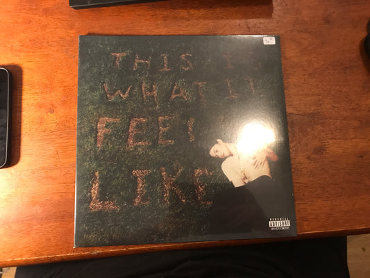 This Is What It Feels Like by Gracie Abrams