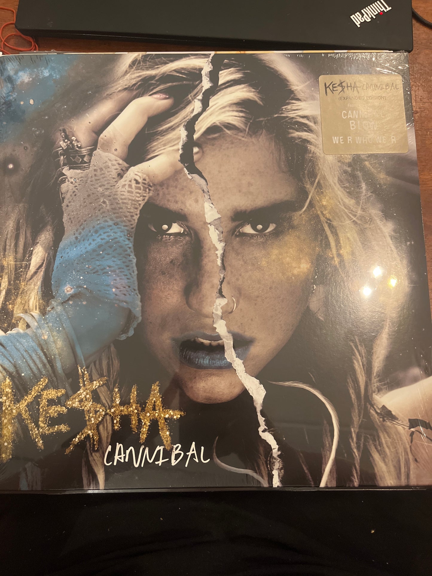 Cannibal by Kesha